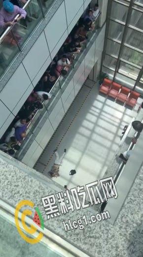 温州医科大学附属第一医院的一名医生被前来报复的患者家属认错人而被砍伤 随后砍人者负罪跳楼自杀-6