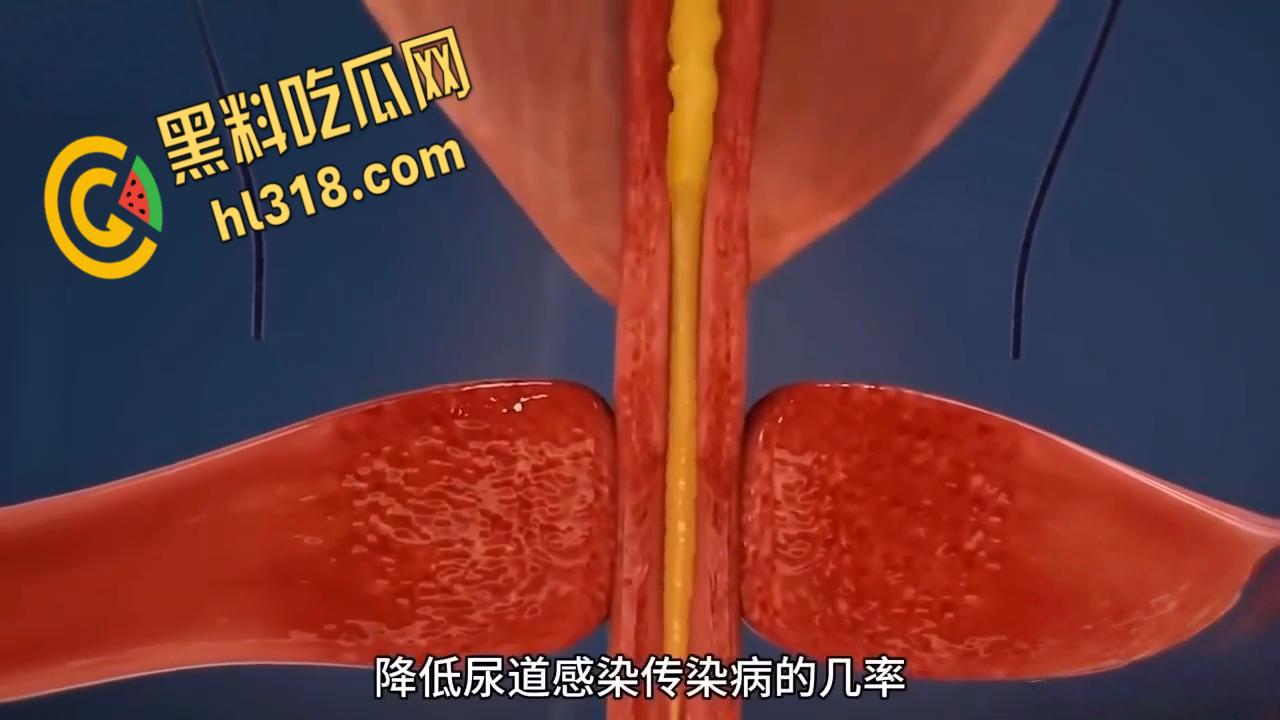 性爱科普揭秘，性高潮时潮喷的液体究竟是什么？带你看尽私密快感，想想谁被你操到高潮喷射 ！-8